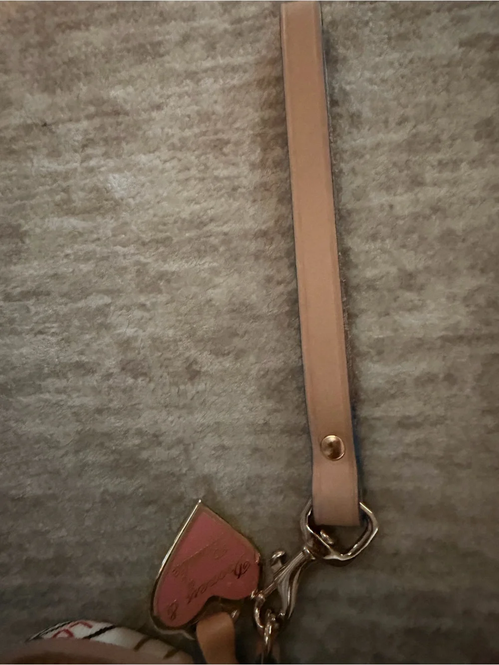 Dooney & Bourke disney parks